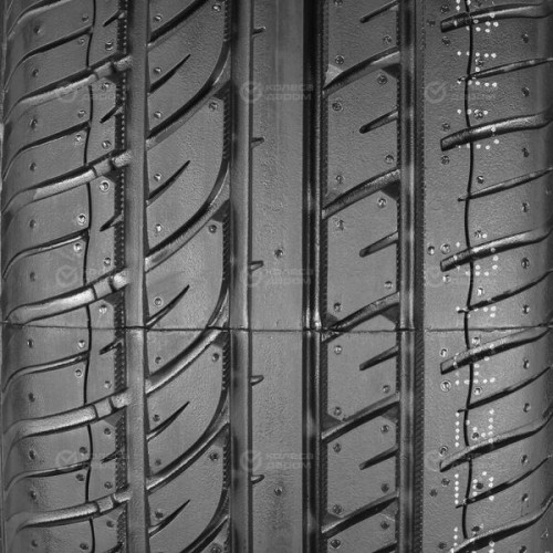 Evergreen EU72 215/50 R17 95W