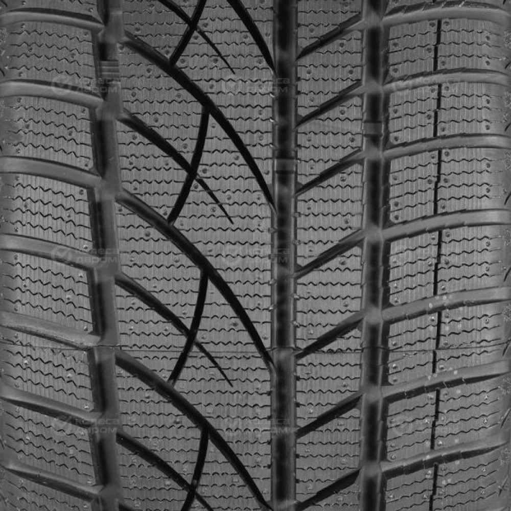 Evergreen EW66 225/50 R17 98H