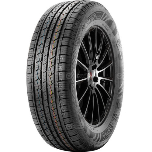 Doublestar DS01 255/55 R20 110V