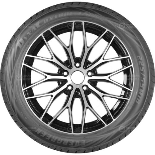 Evergreen DYNACONTROL ES880 225/55 R19 99V