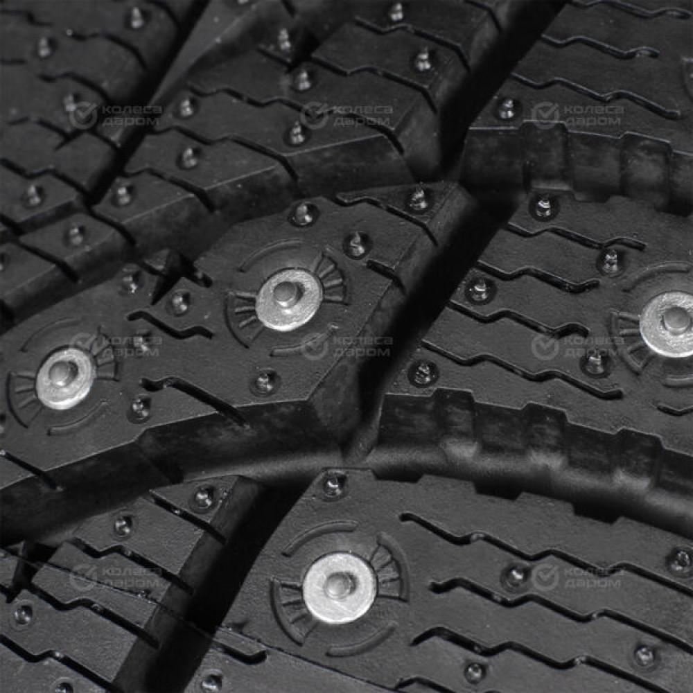 Autogreen WS1 195/65 R15 95T